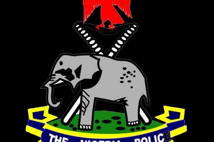 Nigeria: Ogun Police arrest suspected cult member with firearms