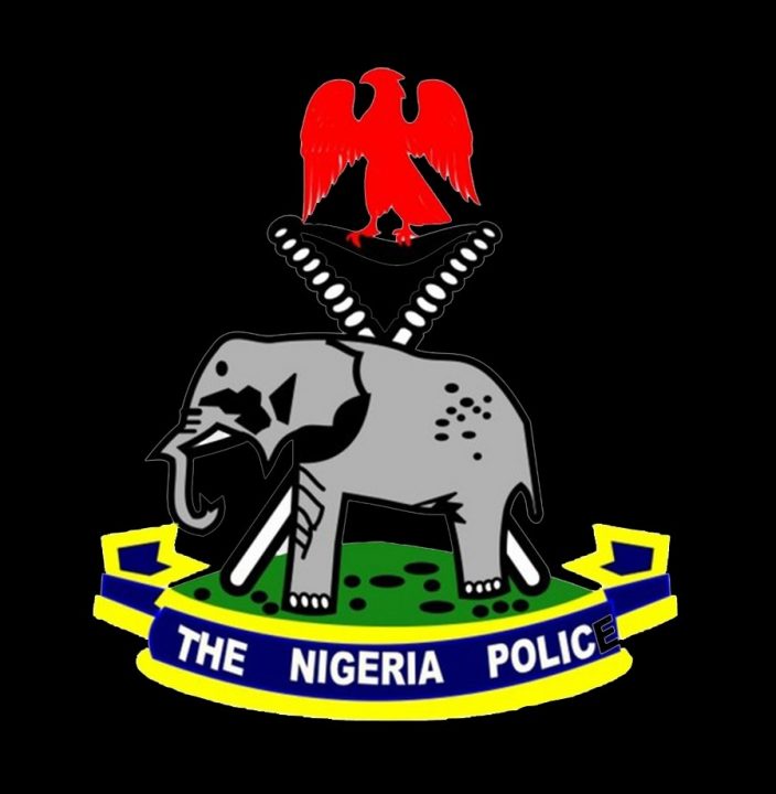 Nigeria: Ogun Police arrest suspected cult member with firearms