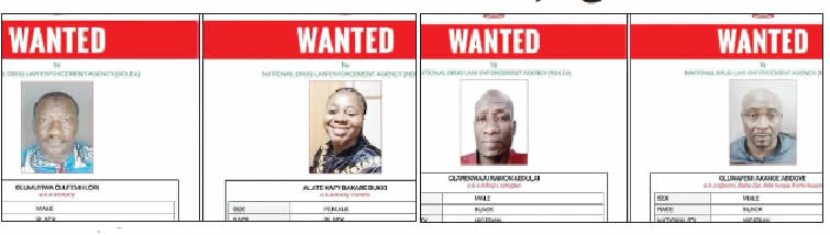 Nigeria: NDLEA declares 4 wanted over foiled drug shipments to Saudi Arabia, Qatar