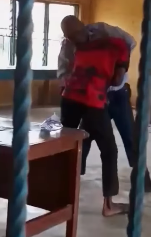 Nigeria: Teachers caught on camera fighting in Delta