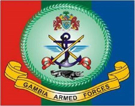 GAF condemns mass killing of vultures by military personnel