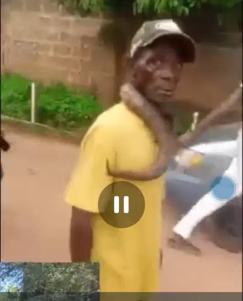 Nigeria: Man beaten for allegedly killing snake in Anambra