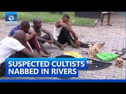 Nigeria: Police arrest seven suspected student cultists with human skull, firearm