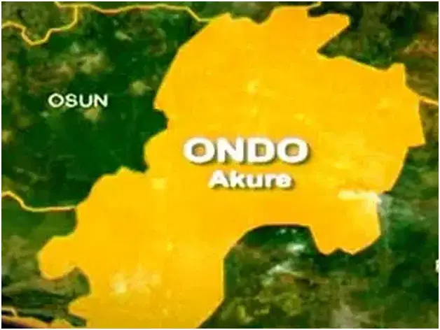 Nigeria: Tragedy in Ondo: Boy dies after beating over cocoa pods