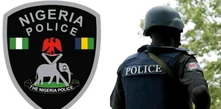 Nigeria: Enugu gov’t arrests man for defiling two daughters