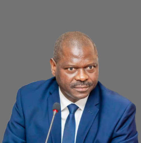 D683M allocated for travels in new budget