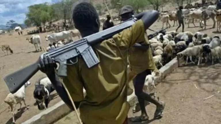 Nigeria: Residents flee as armed herdsmen kill Benue community leader
