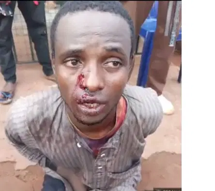 Nigeria: Terror in Edo: Kidnappers turn forests into fear fields