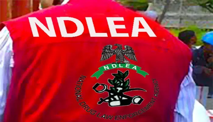 Nigeria: NDLEA intercepts Brazil returnee with cocaine hidden in private parts