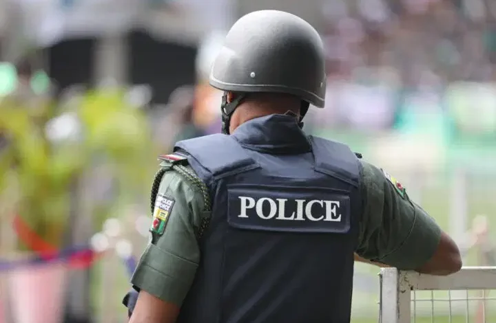 Nigeria: Police arrest dismissed soldier leading armed robbery gang in Kaduna