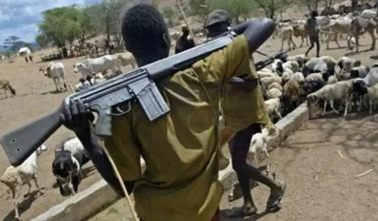 Nigeria: Fulani group urges U.S. to avoid ethnic profiling in Nigeria’s security crisis