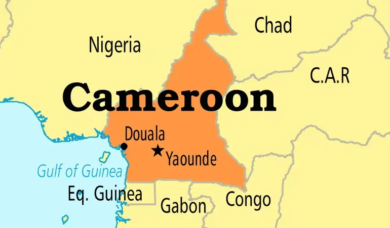 Nigeria: US deports nine African migrants to Cameroon under third-country deal