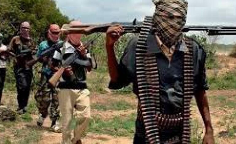 Nigeria: Nigerian troops foil planned terror attack in Katsina