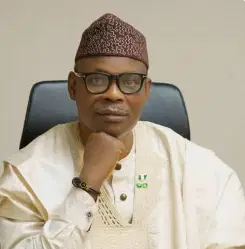 Nigeria: FG targets 172 LGAs with incentives to reduce maternal, newborn deaths
